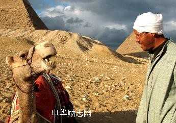 倔强成全梦想--成功启示录