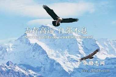 气度，决定美妙人生的高度