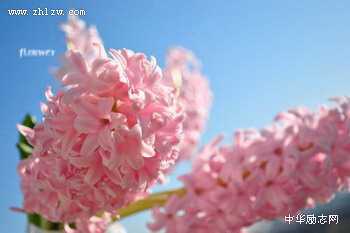 ［励志文章］成功者的十三项习惯
