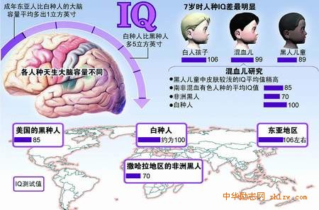 中国人是智商最高的人种