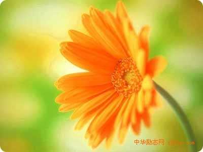 阳光，是一种语言