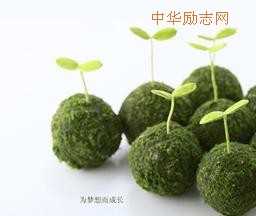 制约个人成长的15种能力