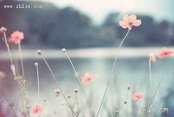 激励人心的小故事