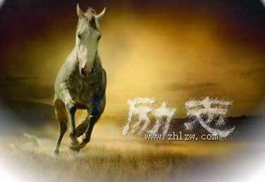 奋斗拼搏励志文章