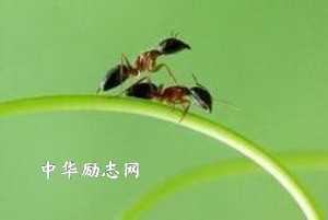 寓言小故事及寓意：选择方向
