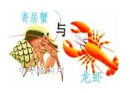 哲理寓言：勇于冒险