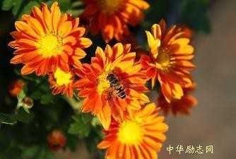 心灵短文：重要的是我们将去向何处