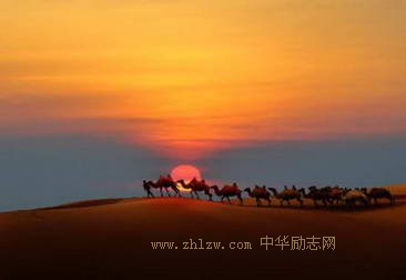 如何寻求和抓住机会