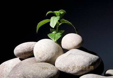 假如放弃那些努力和坚持