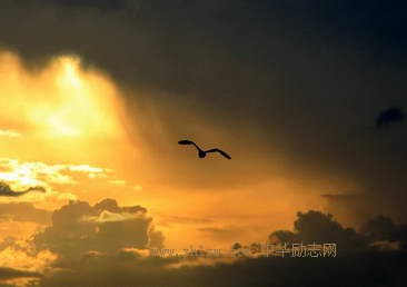 决心克服，就能走过人生低谷