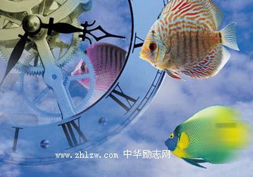 时间煮雨，岁月无痕