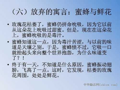 有趣的个人成长寓言-人生规划