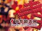 春节