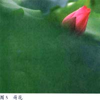 孤独是一种境界
