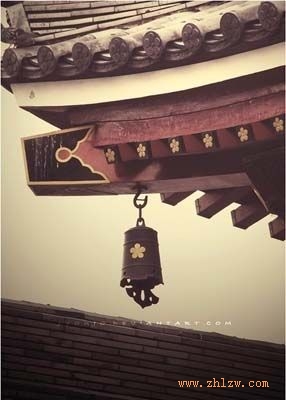 十二属相