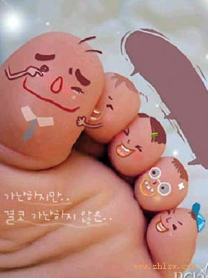 十二属相
