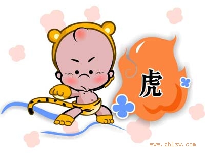 十二属相