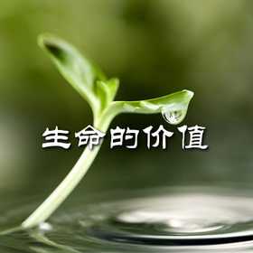 生命的价值