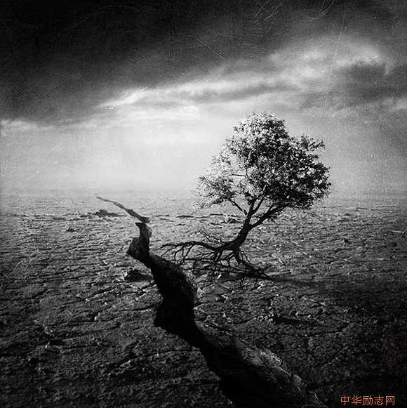 成熟在逆境，醒悟在绝境