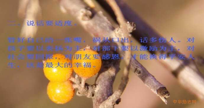 二、说话要适度