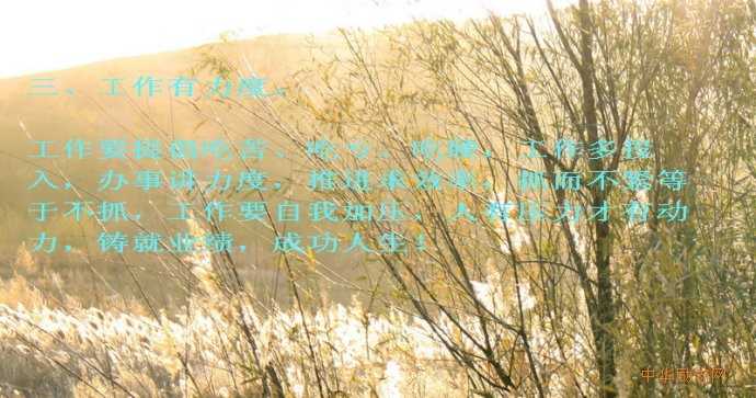 三、工作要有力度