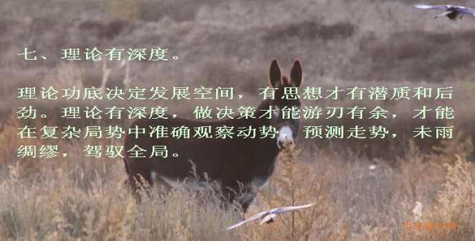 七、理论有深度