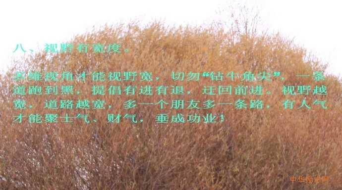 八、视野有宽度