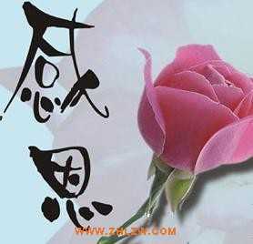 常怀感恩之心，生活处处是感恩