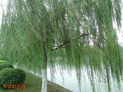 婚姻要用心去感悟用智慧去经营
