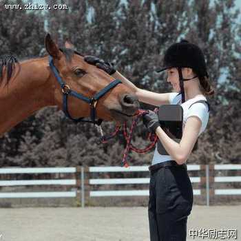 骏马与美女图片_马到成功