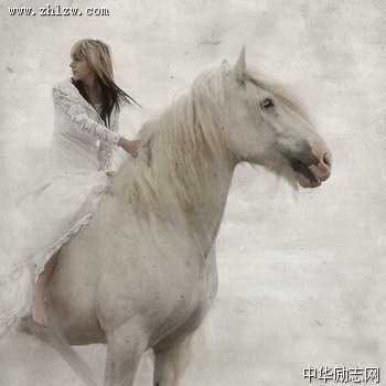 骏马与美女图片_马到成功