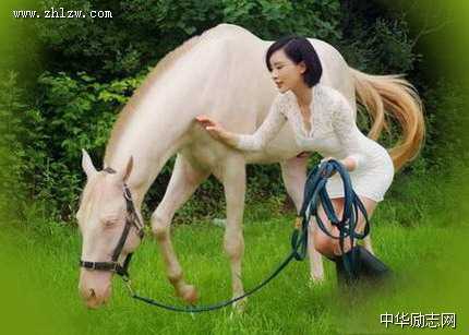 骏马与美女图片_马到成功