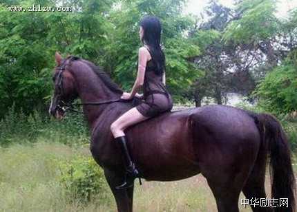 骏马与美女图片_马到成功