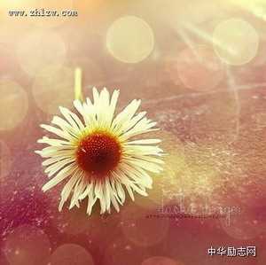 生活感悟美文