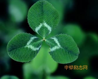 “三样东西”是你必需要重视