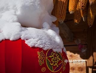 瑞雪兆丰年，喜迎2015年第一场雪