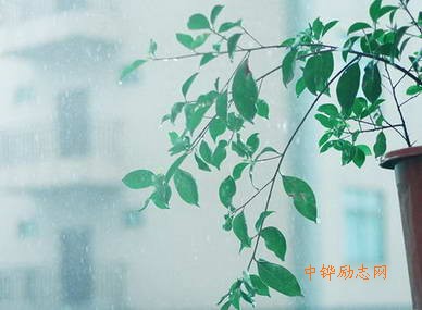 幸福不是毛毛雨，幸福又像毛毛雨