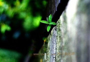 久经磨难必然坚强