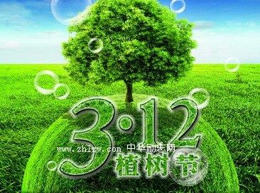 3.12植树节活动生态环保感悟