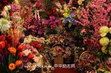 心存美好，岁月花开