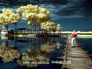 人需要平衡