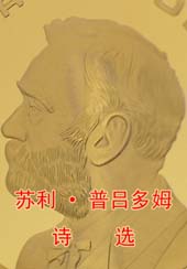 ķʫѡŵѧƷ